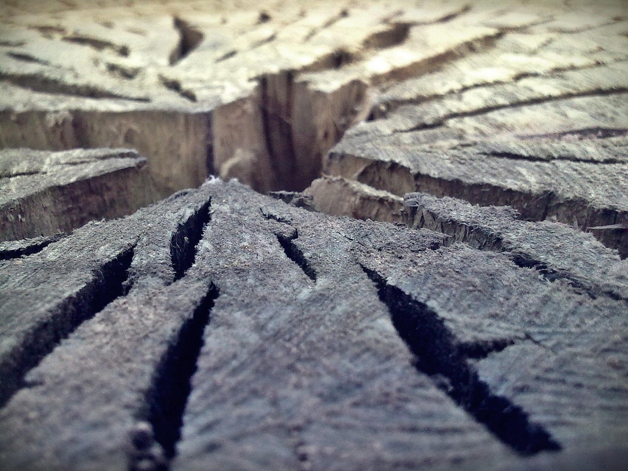 傅高峻