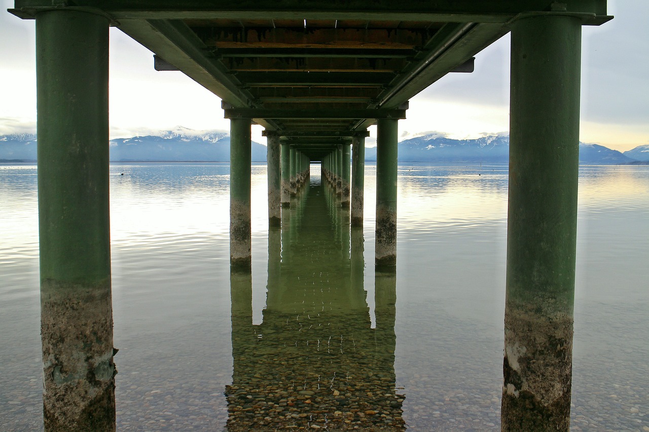 楼面棉