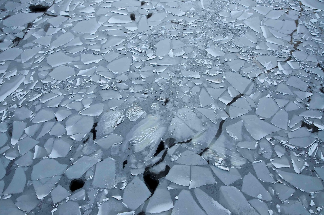 专业防水补漏服务：漏水维修的高效解决方案