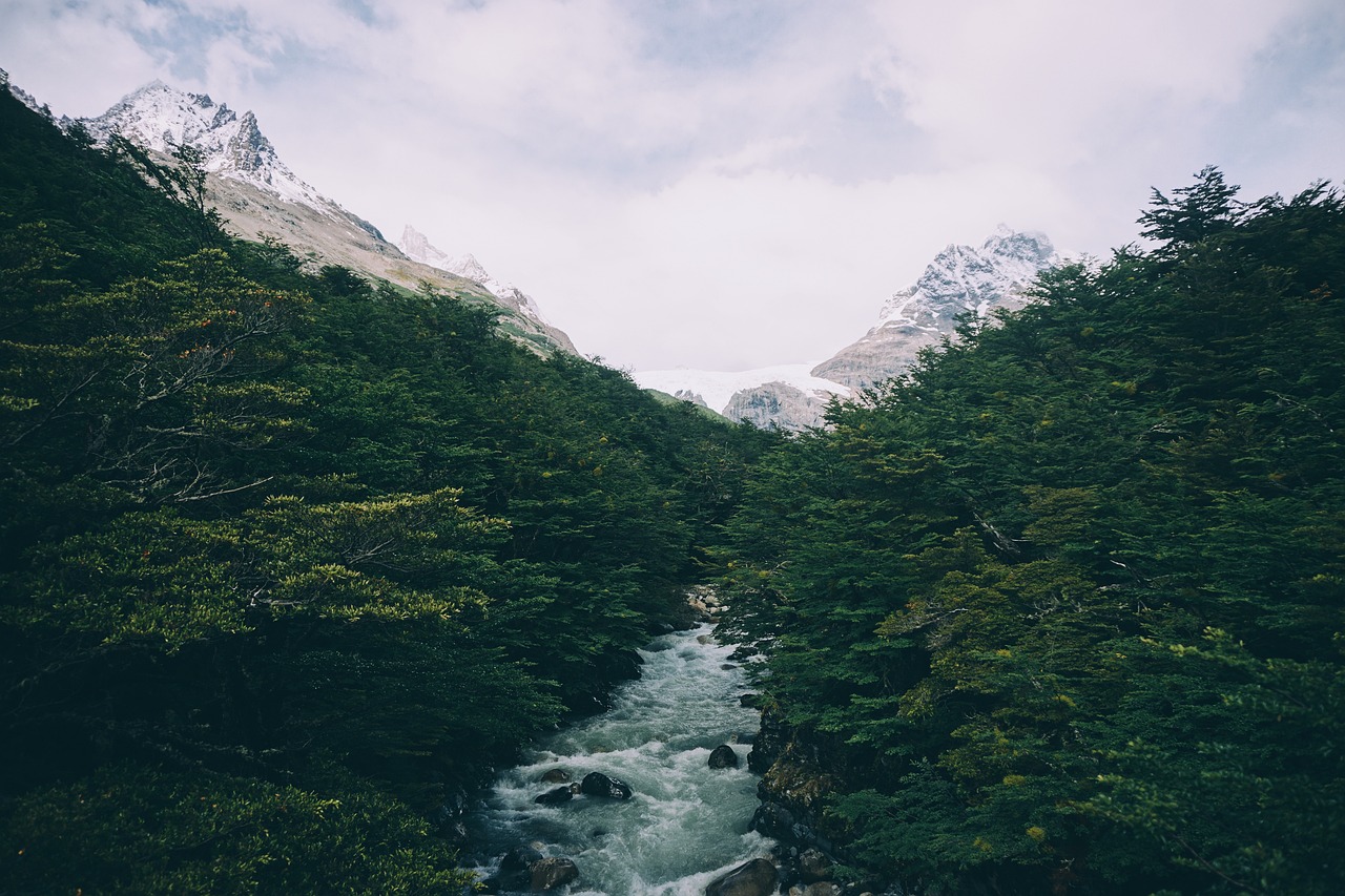 水库除险加固的意义，水库除险加固的意义是什么