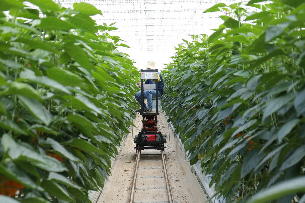 楼顶楼面保温防水哪种效果最好，楼顶楼面保温防水哪种效果最好呢